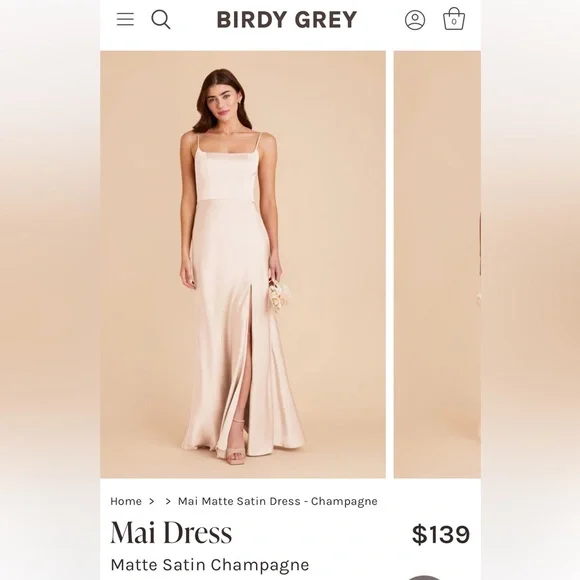 Birdy Grey | Dresses | Birdy Grey Mai Matte Satin Champagne Dress